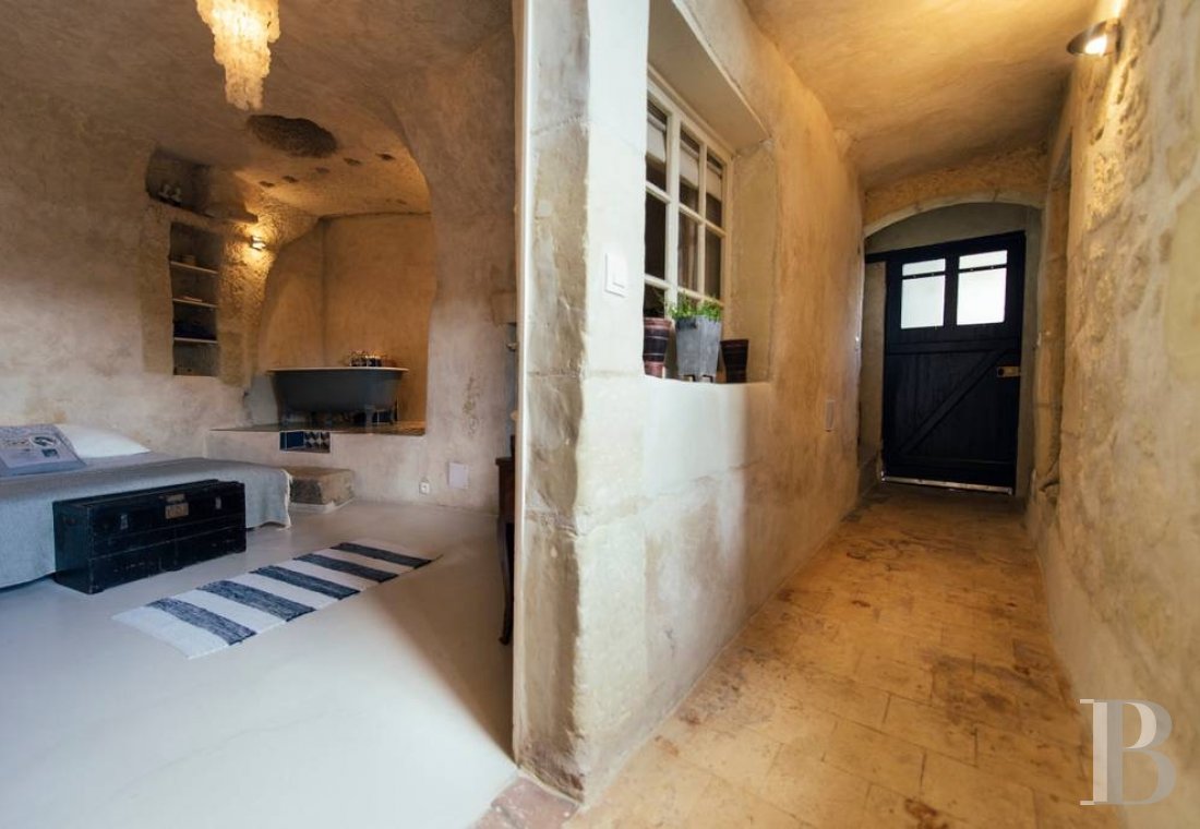 A troglodyte house full of comfort and light in the Val de Loire across from Amboise  - photo  n°15
