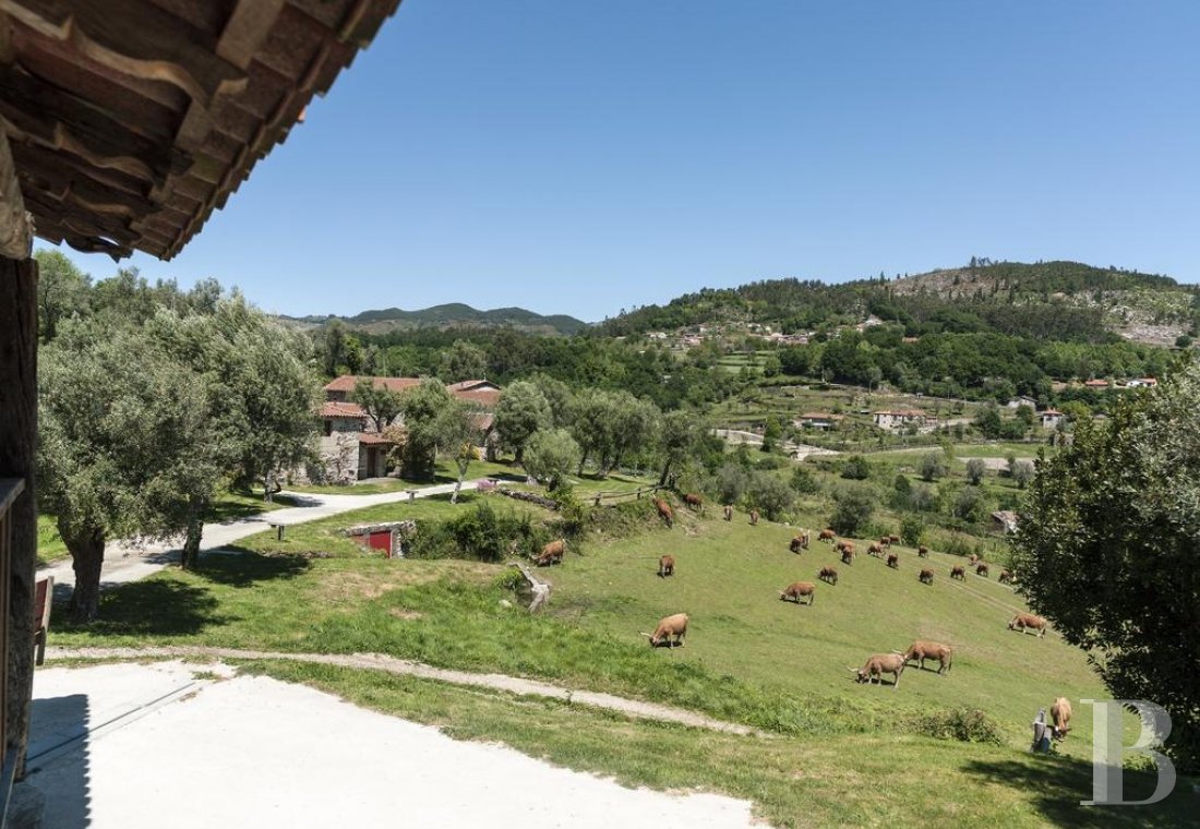 An old, rural estate converted into six guest houses in Cabeceiras de Basto in northern Portugal - photo  n°9