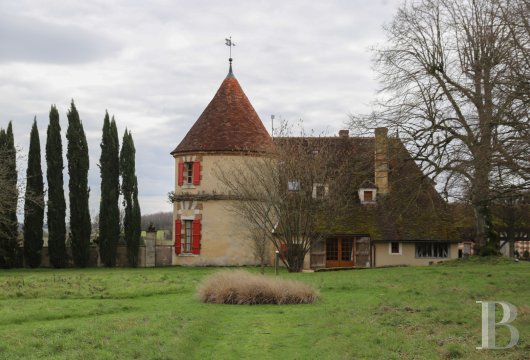 France mansions for sale burgundy   - 5