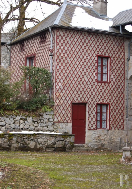 chateaux for sale France rhones alps   - 18