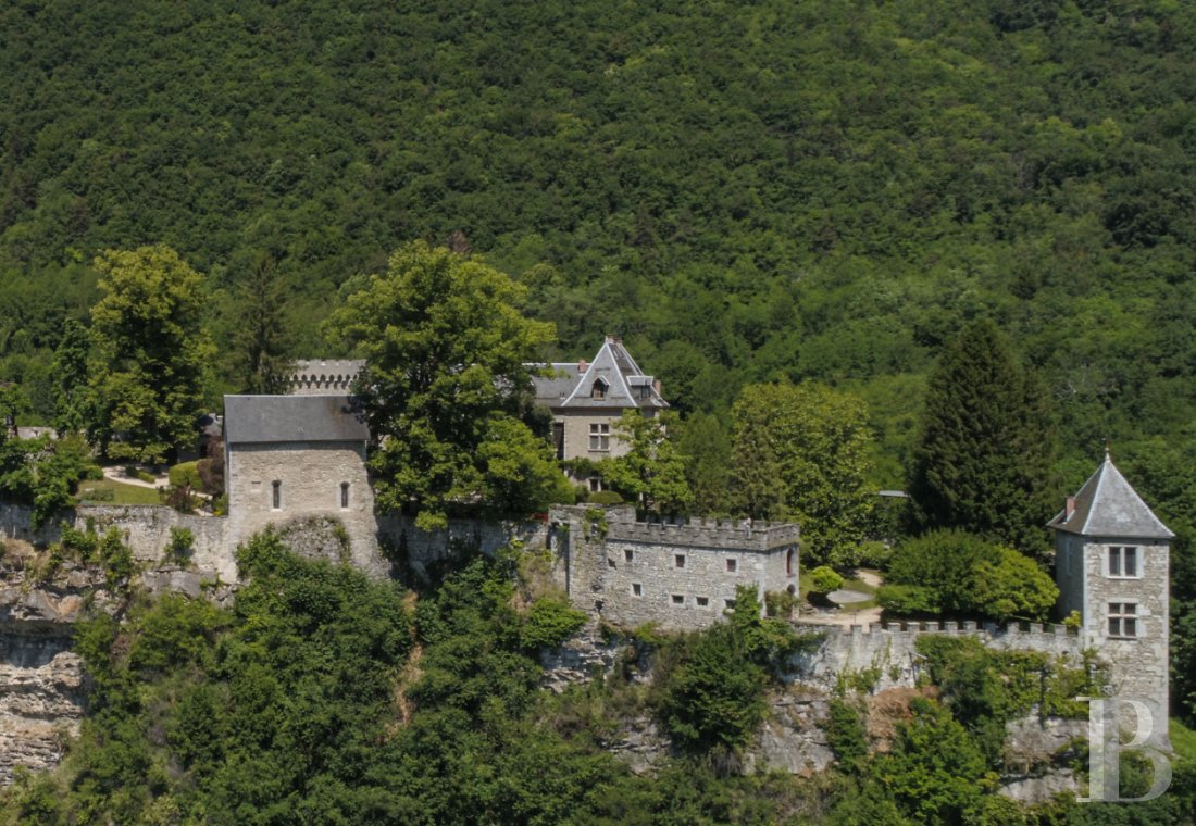 chateaux for sale France rhones alps   - 2