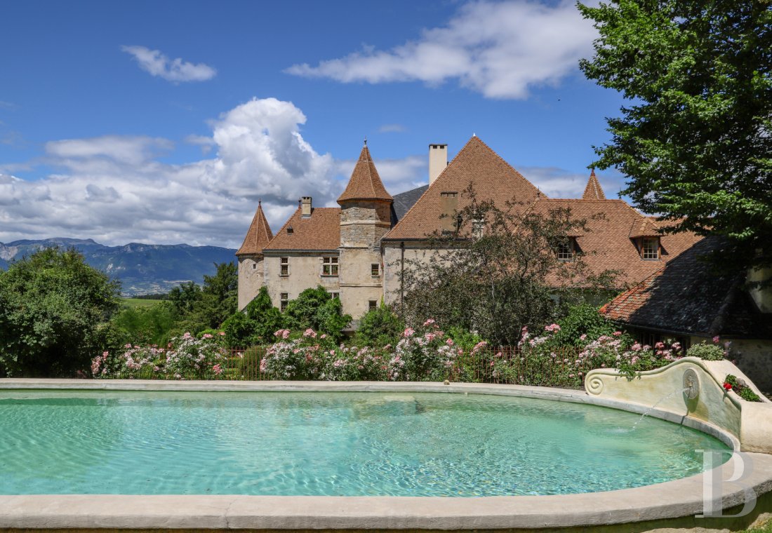 chateaux for sale France rhones alps   - 4
