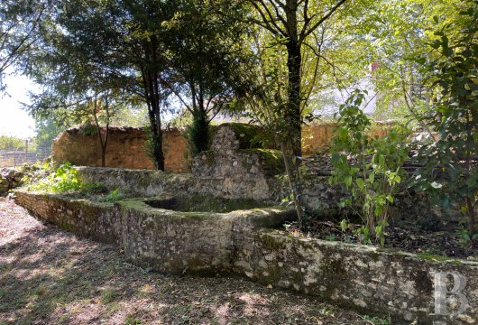 mansion houses for sale France aquitaine   - 23