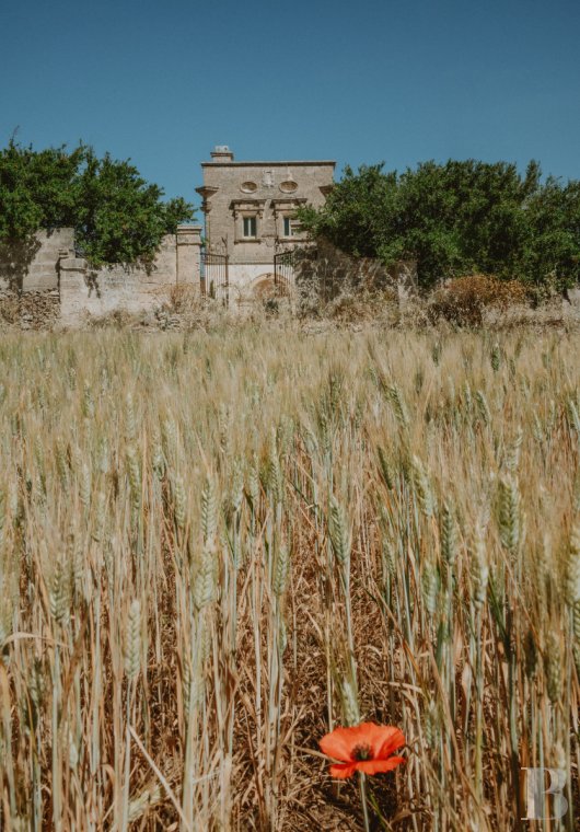 A former watch tower transformed into an elegant patrician residence in Puglia, near to Nardo - photo  n°4