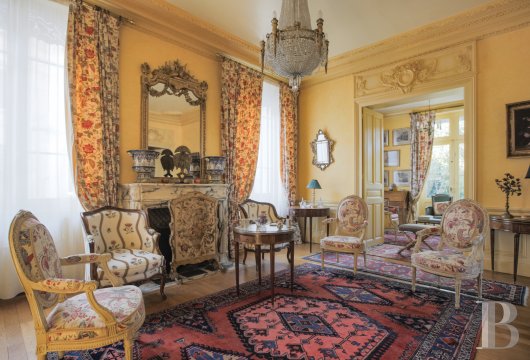 mansion houses for sale France burgundy   - 6