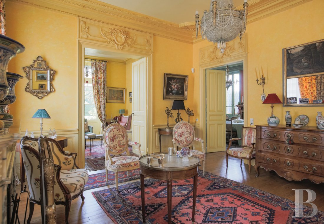 mansion houses for sale France burgundy   - 5