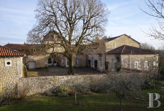 France mansions for sale aquitaine   - 4
