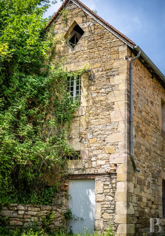 chateaux for sale France midi pyrenees   - 20
