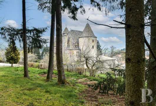 chateaux for sale France auvergne   - 4