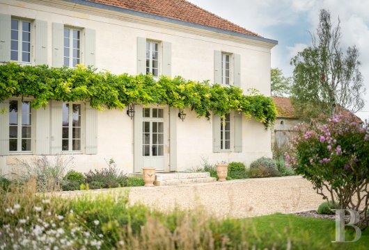 A former vineyard converted into a family home in Charente-Maritime, between Saintes and Royan - photo  n°2