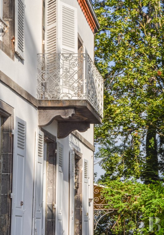 France mansions for sale auvergne   - 3