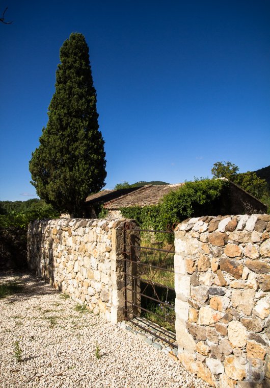 A vast farmhouse on a 130-hectare estate in Gard, south of Anduze - photo  n°30
