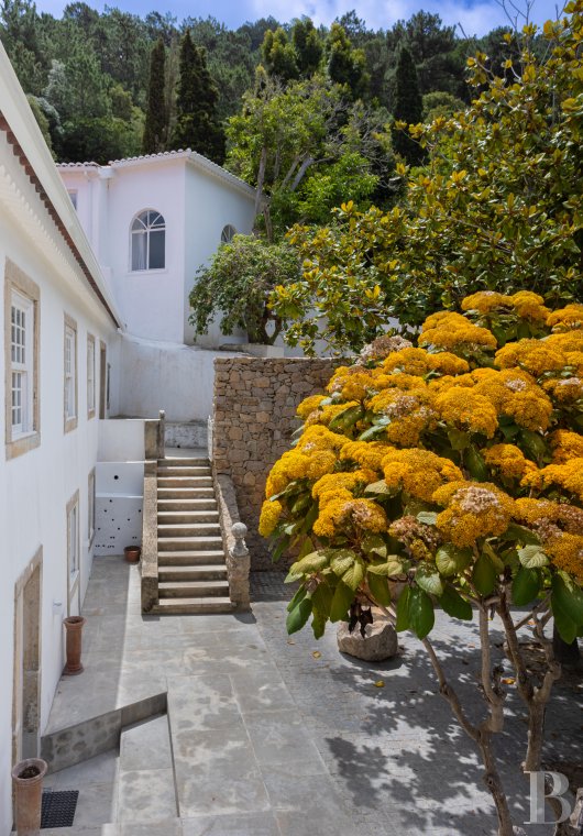 A village house with a garden, terraces and patios near Lisbon at the entrance to the Sintra-Cascais Natural Park - photo  n°6