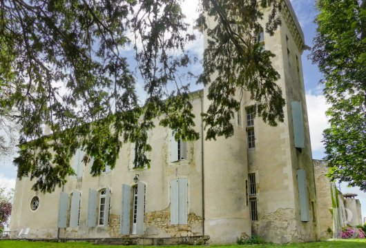 chateaux for sale France midi pyrenees   - 8