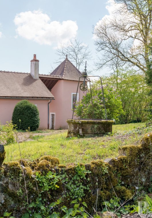 chateaux for sale France burgundy   - 12