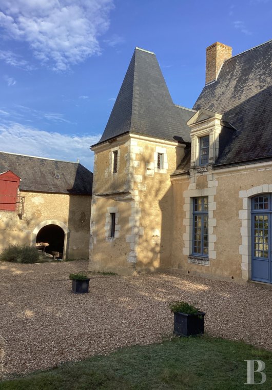 France mansions for sale center val de loire   - 3