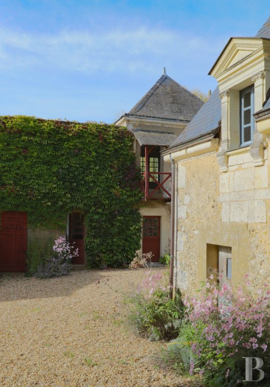 France mansions for sale center val de loire   - 17