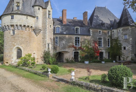 chateaux for sale France pays de loire   - 7