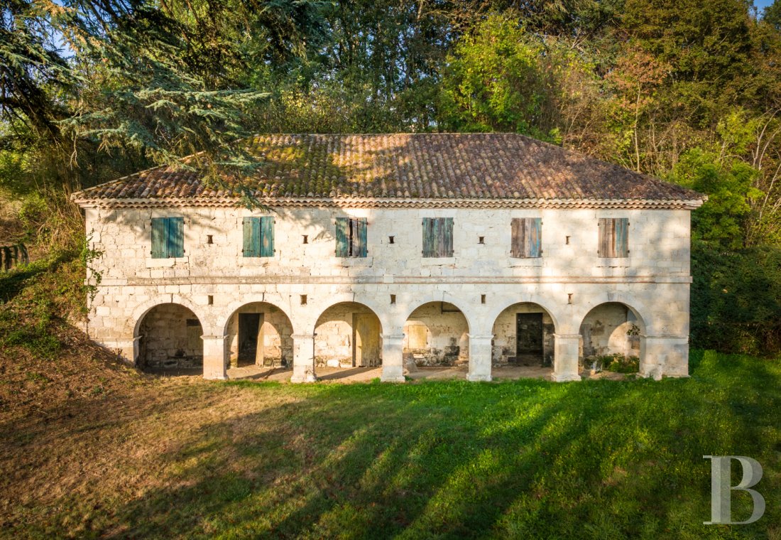 France mansions for sale aquitaine   - 2