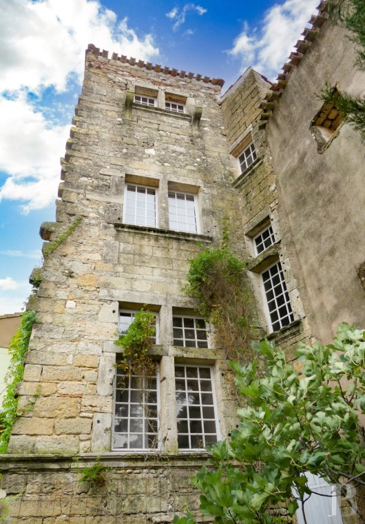 mansion houses for sale France languedoc roussillon   - 3
