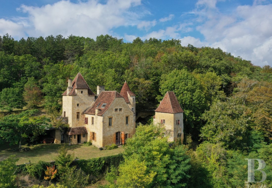 Manors for sale - aquitaine - A medieval-style manor house and its outbuildings set above a former cave dwelling  on a hillside surrounded by 20 hectares of woodland in the Périgord Noir 