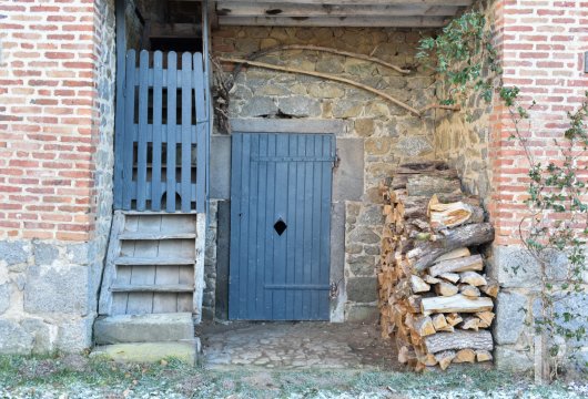 character properties France limousin   - 19