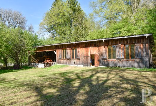 character properties France limousin   - 13