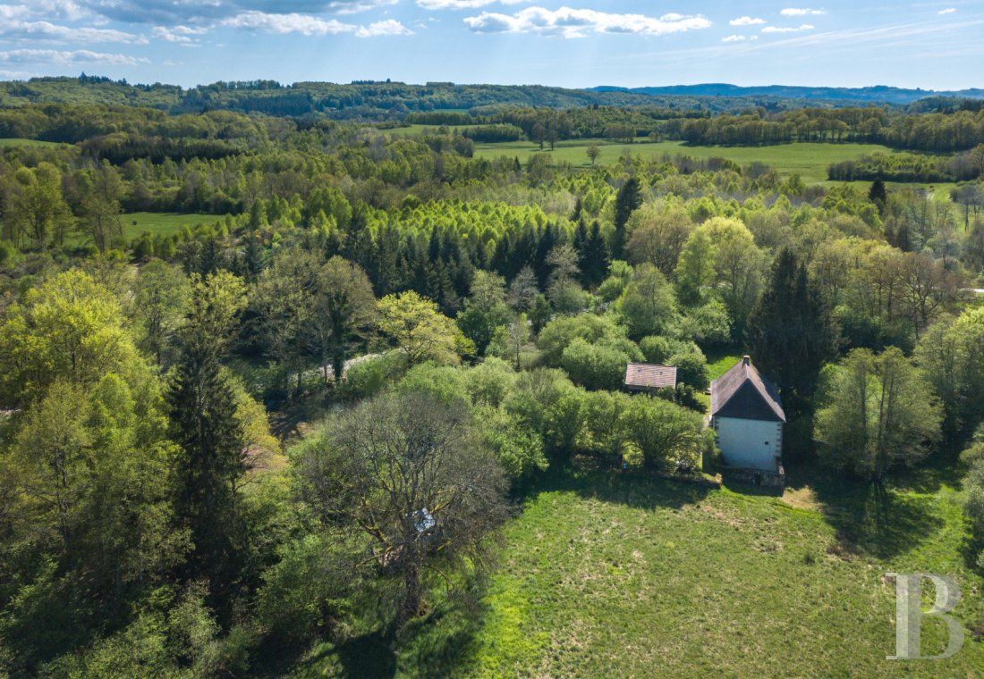 character properties France limousin   - 15