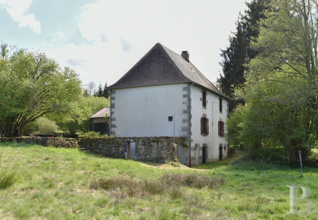 character properties France limousin   - 2
