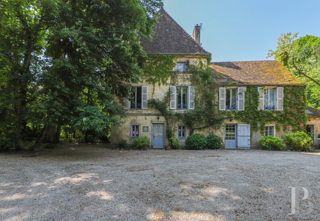 chateaux for sale France burgundy   - 25