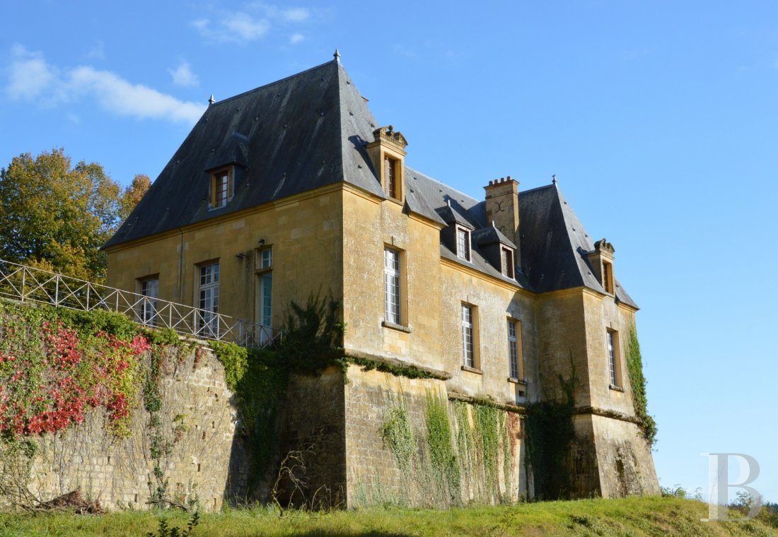 chateaux for sale France champagne ardennes castles chateaux - 5