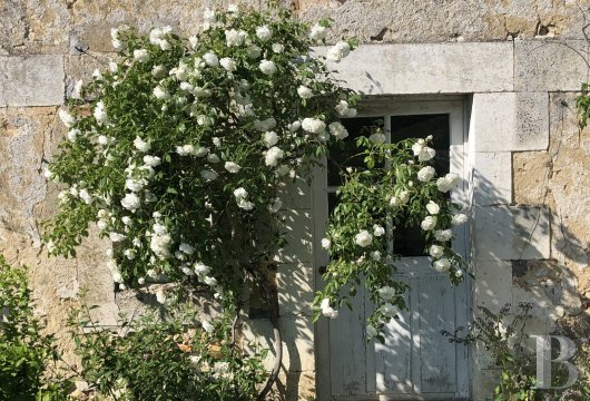 The former home of a painter inspired by nature in the Puisaye region, to the north of Burgundy - photo  n°24