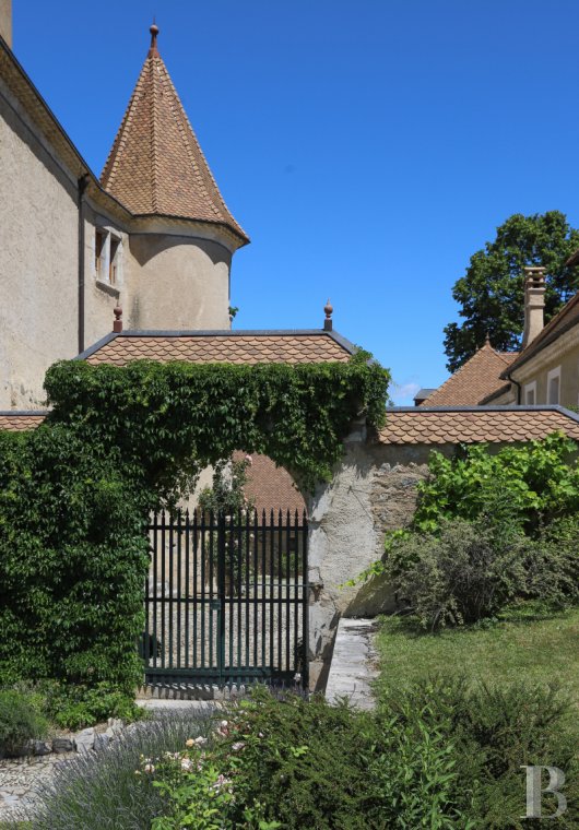 chateaux for sale France rhones alps   - 6