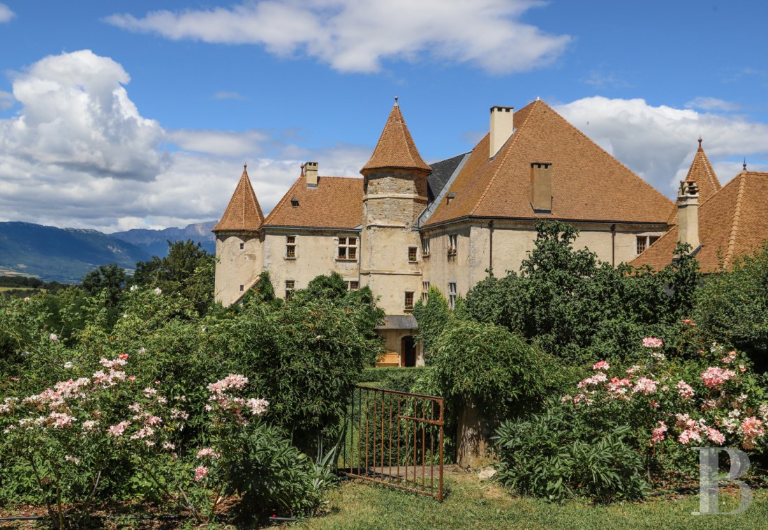 chateaux for sale France rhones alps   - 5