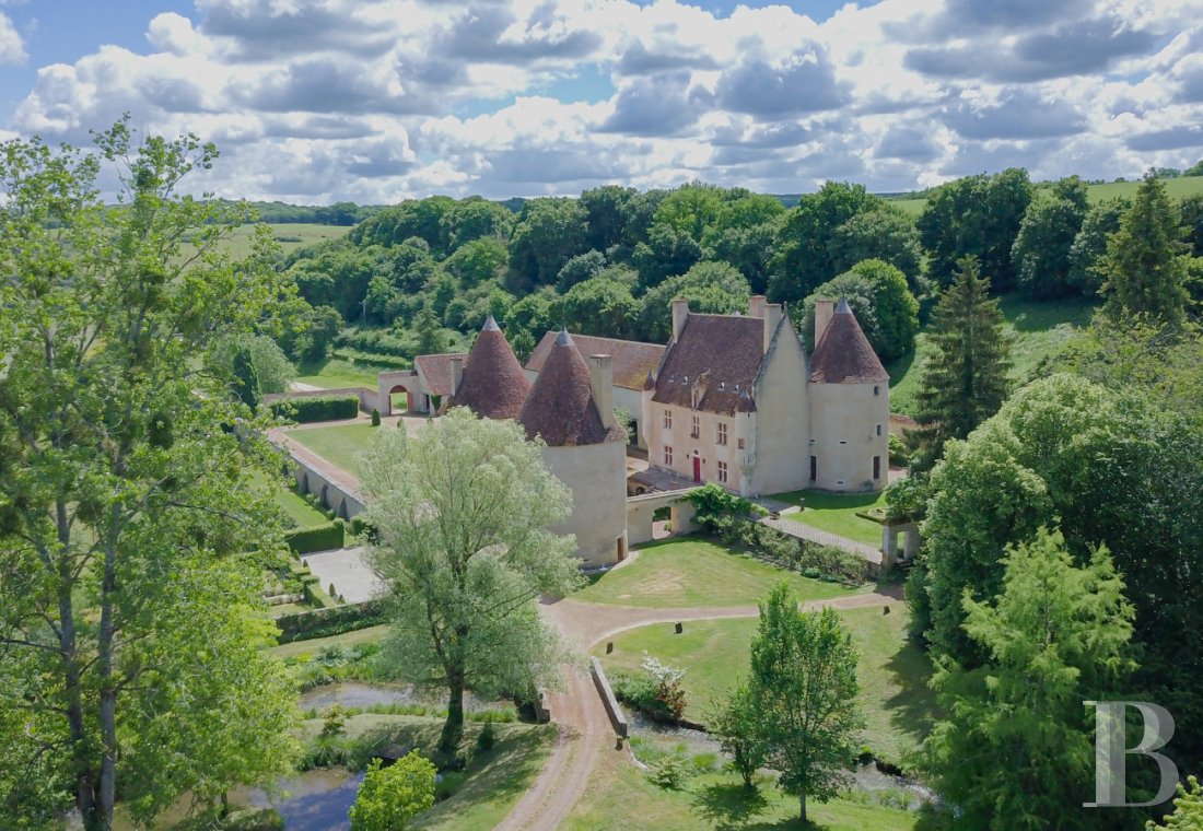 chateaux for sale France burgundy   - 2