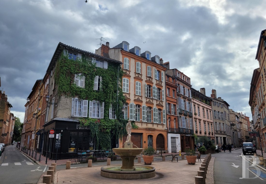 properties in town midi pyrenees   - 1