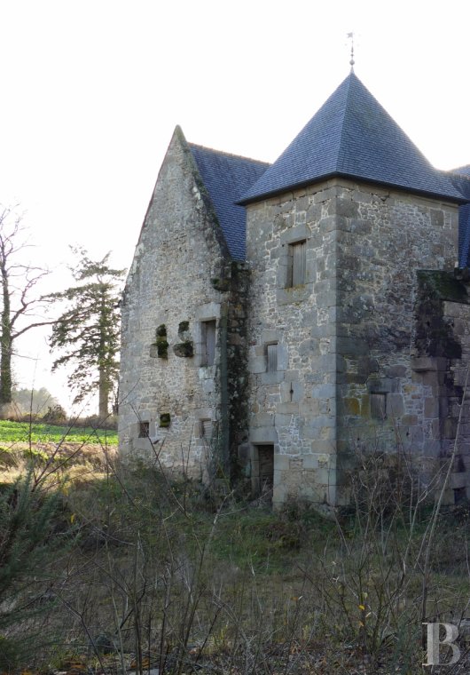 France mansions for sale brittany   - 4