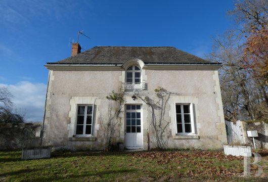 France mansions for sale center val de loire   - 15