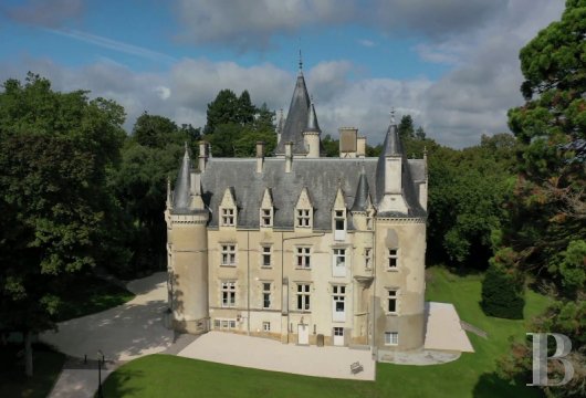 chateaux for sale France pays de loire castles chateaux - 5