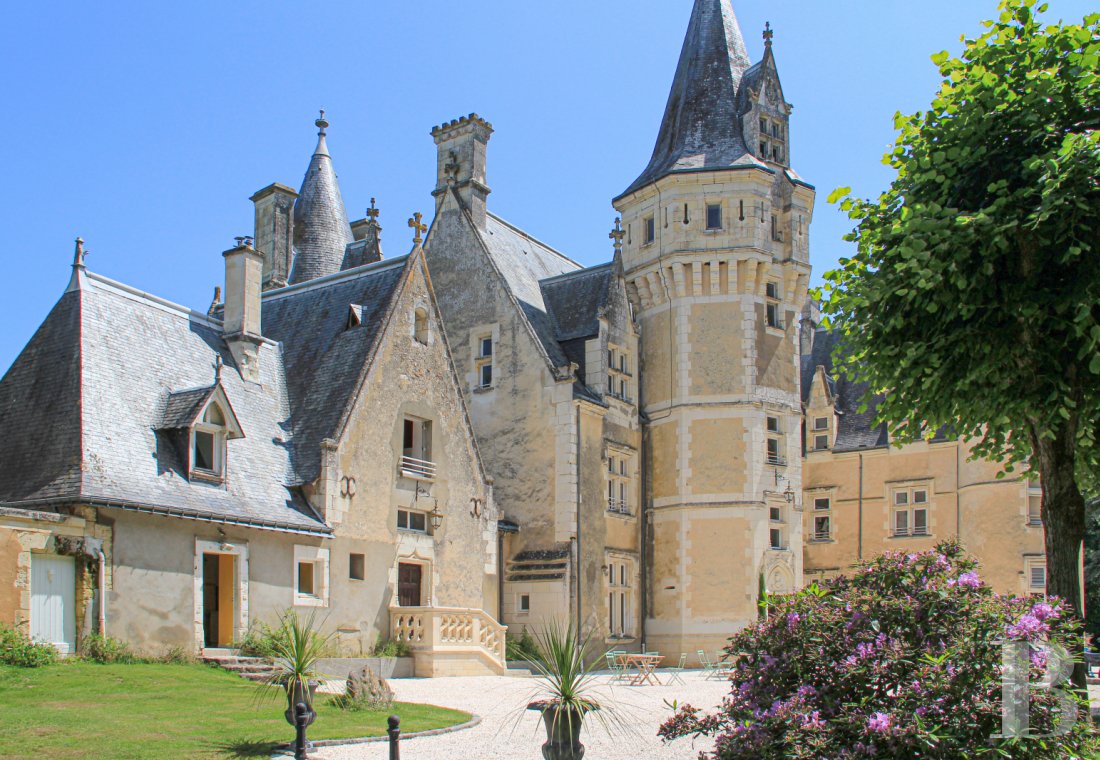 chateaux for sale France pays de loire castles chateaux - 1