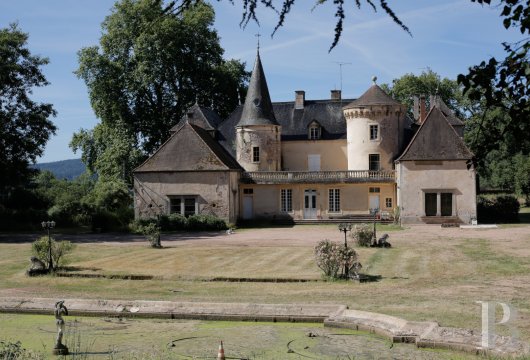 chateaux for sale France burgundy   - 3