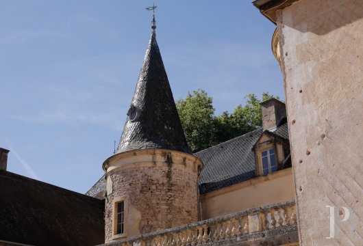 chateaux for sale France burgundy 6503  - 5