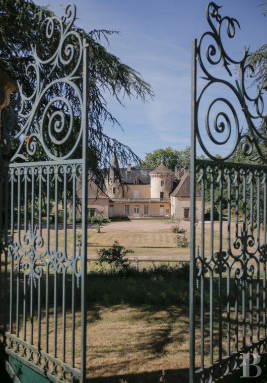 chateaux for sale France burgundy 6503  - 4