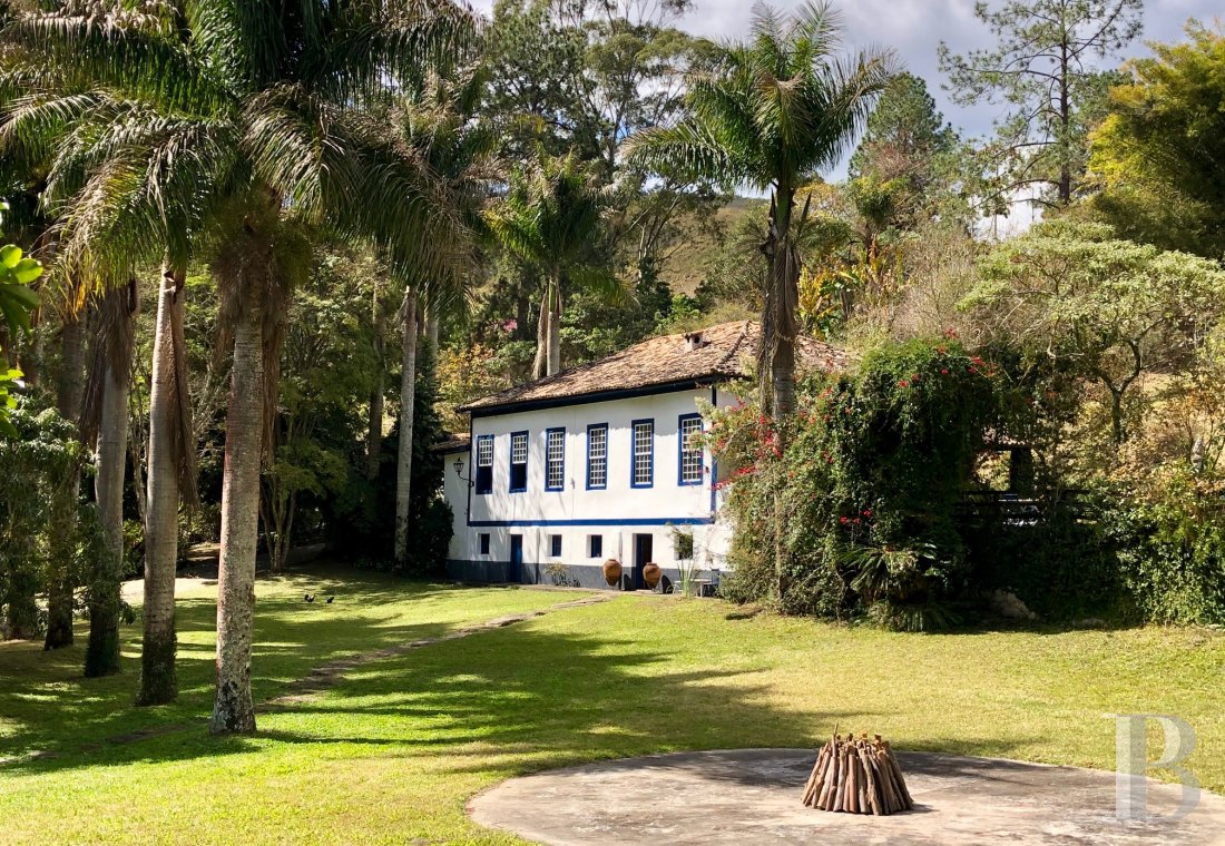 Farm life and art exchange in Pedra Bela, São Paulo, Brazil