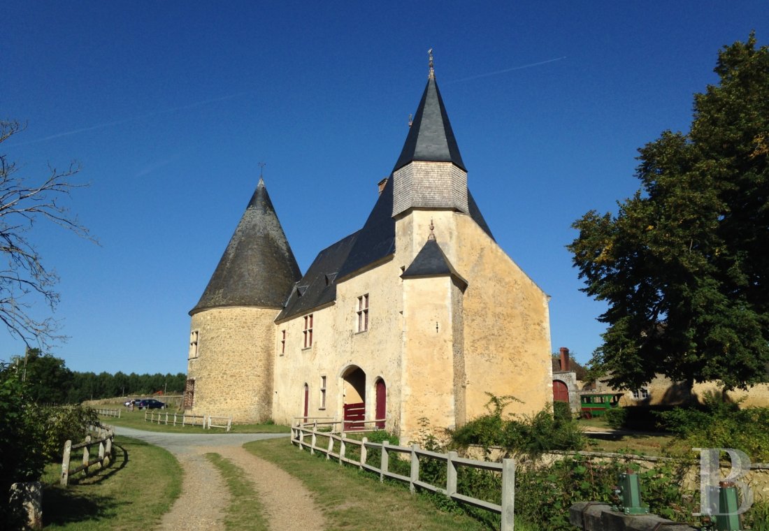 A family chateau classified as a historic monument on a 400-hectare estate between Le Mans and Ferté-Bernard - photo  n°9