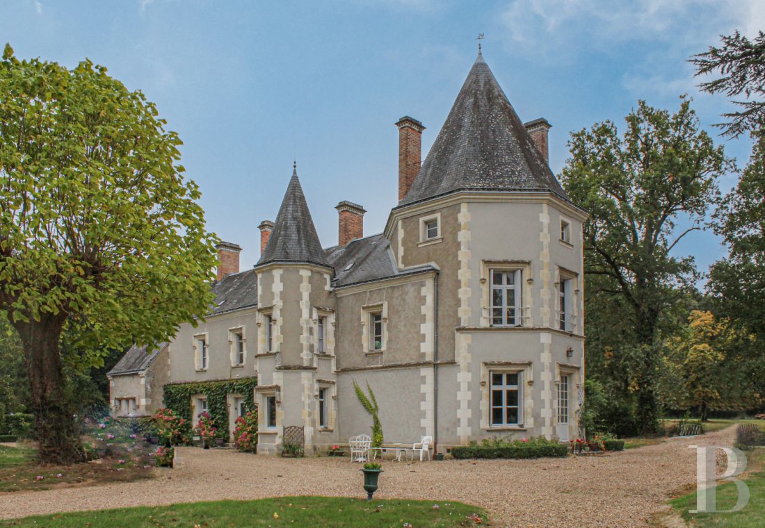France mansions for sale center val de loire   - 1
