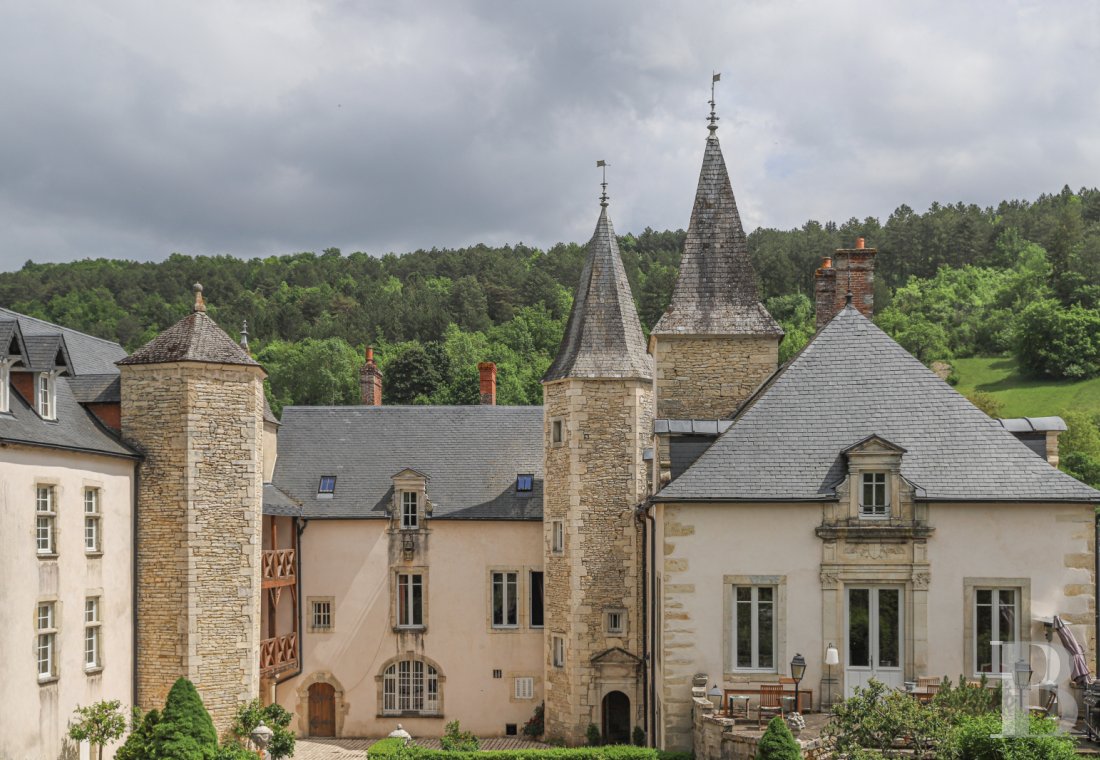 A wine estate and 16th century chateau  in the heart of Burgundy and the Auxey-Duresses vineyards - photo  n°5