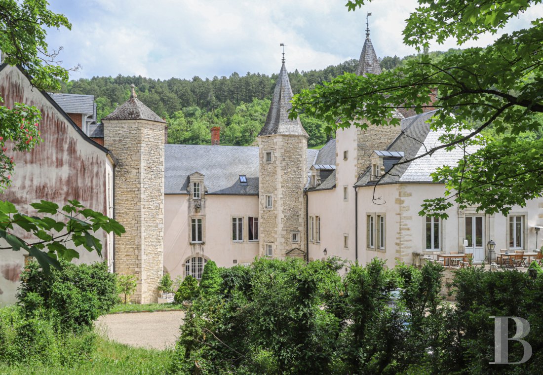 A wine estate and 16th century chateau  in the heart of Burgundy and the Auxey-Duresses vineyards - photo  n°34