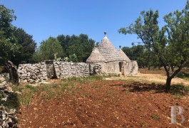 A 6,400 m² plot of building land and a traditional, dry stone “trullo”  just a few kilometres from Ostuni, 20 minutes ...