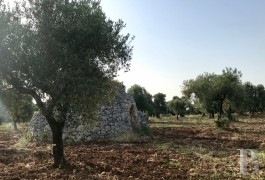 A traditional, dry stone “trullo” on a 1.3 ha plot of land for an architectural project,  in keeping with its surroundings ...